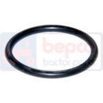 Oring injector Case IH