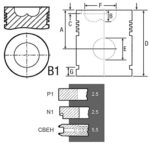 Piston Std Fiat 100mm